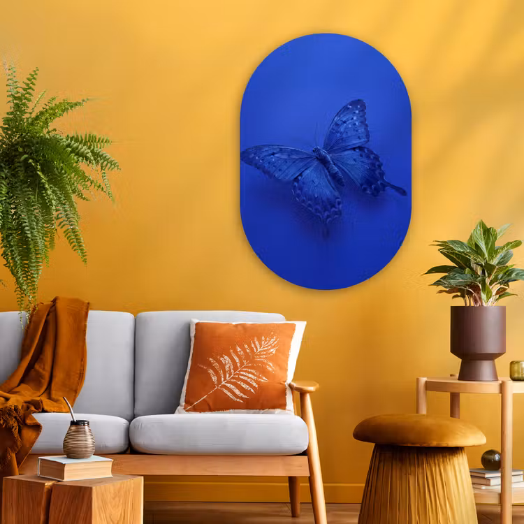 Glasbild Oval - Blauer Schmetterling – Insekt — 3