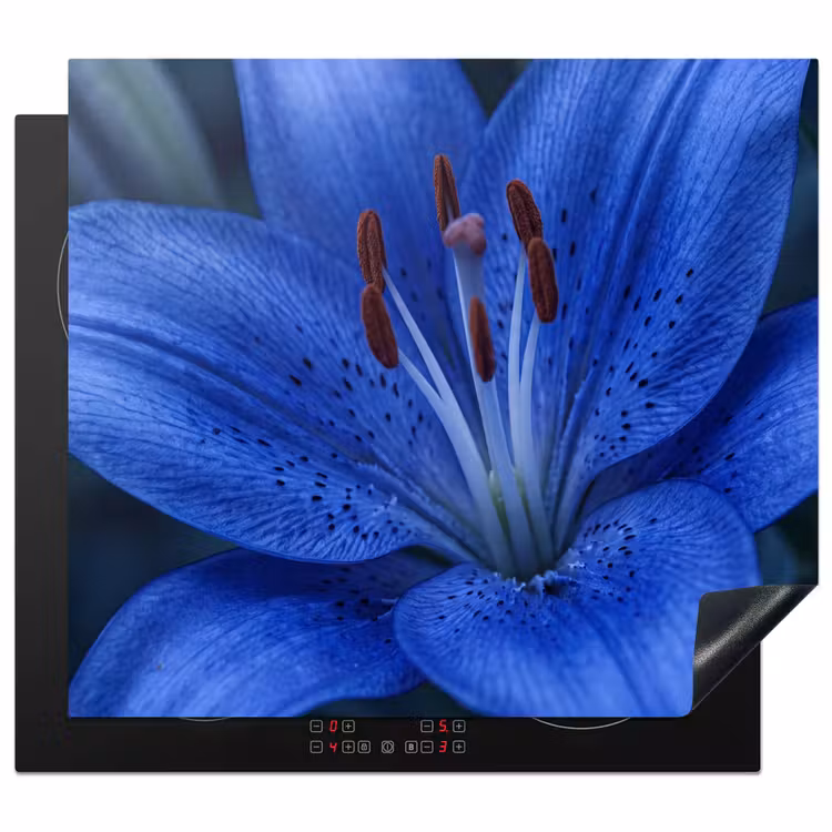 Herdabdeckplatte - Blaue Blume – Natur — 1