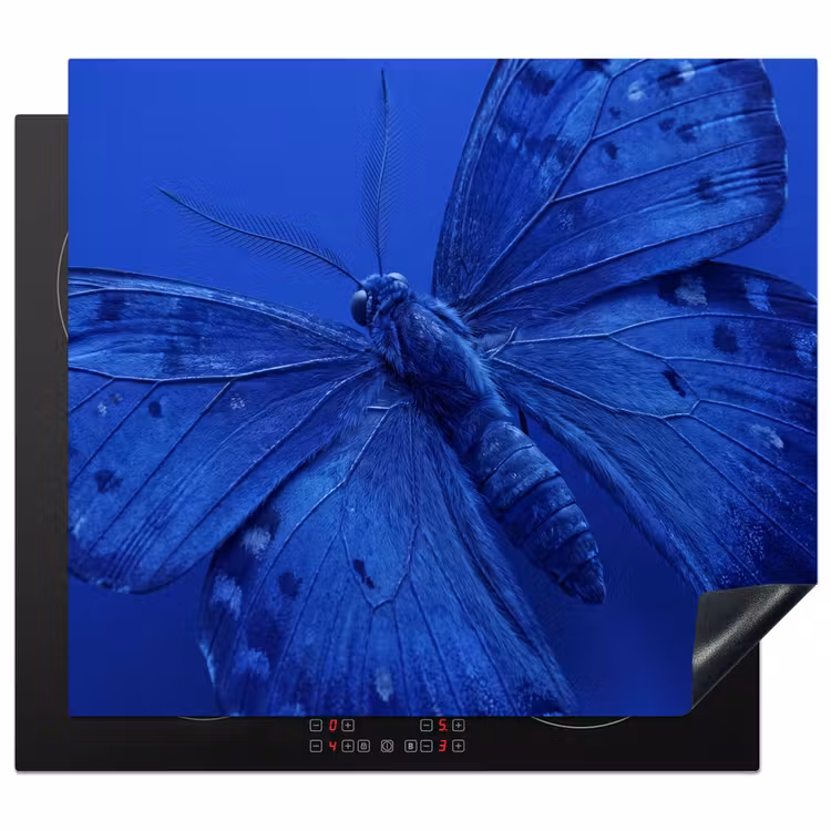 Herdabdeckplatte - Blauer Schmetterling – Insekt — 1