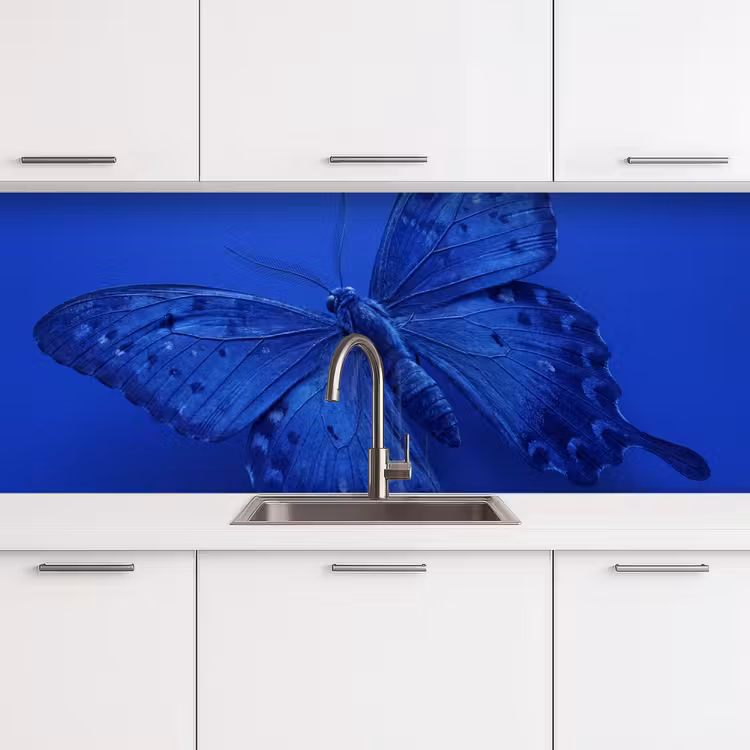 Küchenrückwand - Blauer Schmetterling – Insekt — 4