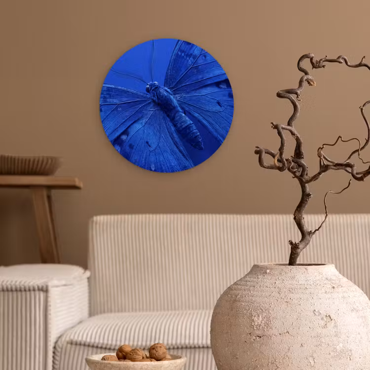 Forexbild Rund - Blauer Schmetterling – Insekt — 2