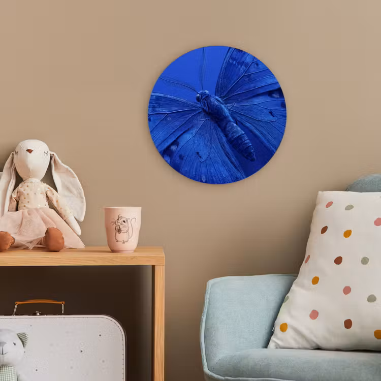Forexbild Rund - Blauer Schmetterling – Insekt — 5