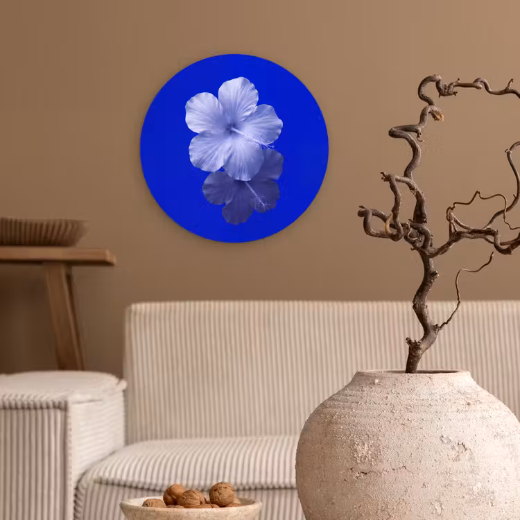 Forexbild Rund - Blumen – Blau – Natur — 2