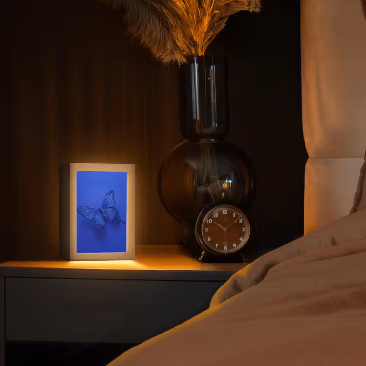 Personalisierte Lightbox - Blauer Schmetterling – Insekt — 2