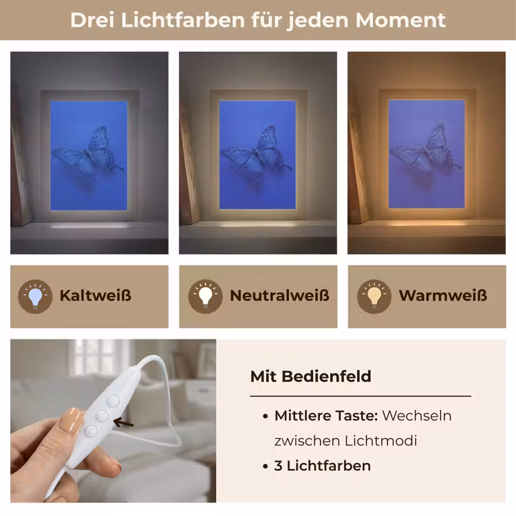 Personalisierte Lightbox - Blauer Schmetterling – Insekt — 7
