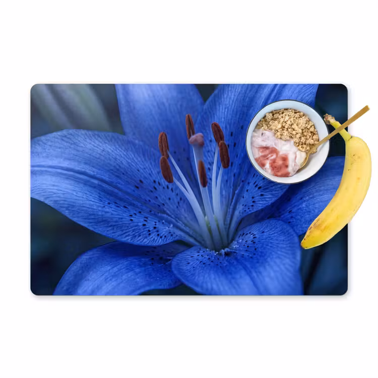 Tischset - 6 Stück - Blaue Blume – Natur — 1