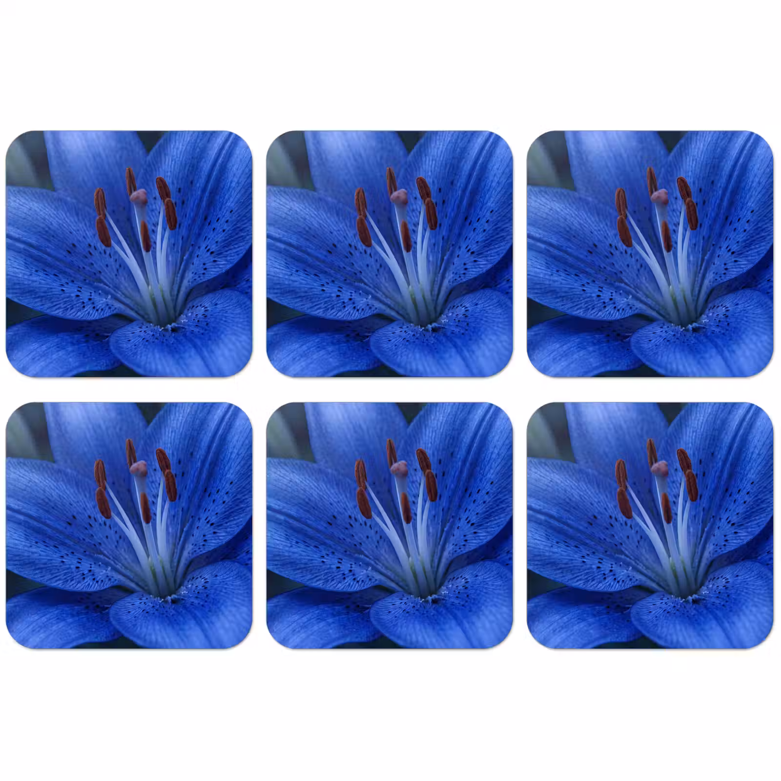 Untersetzer - Blaue Blume – Natur — 1