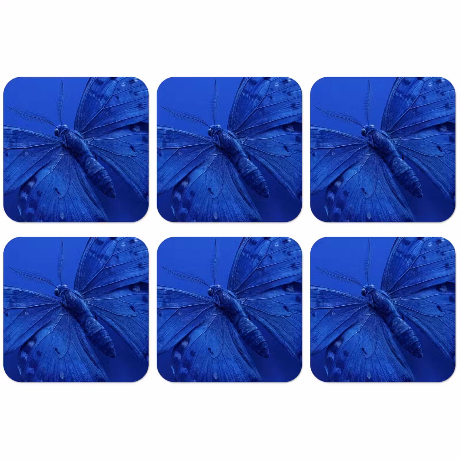 Untersetzer - Blauer Schmetterling – Insekt — 1