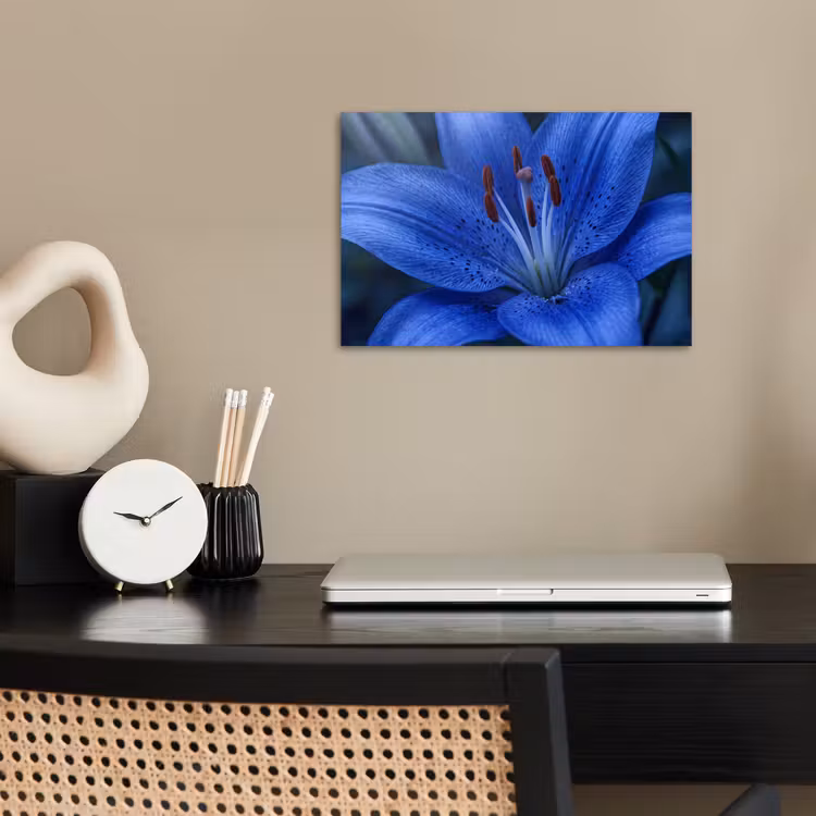 Poster - Blaue Blume – Natur — 2