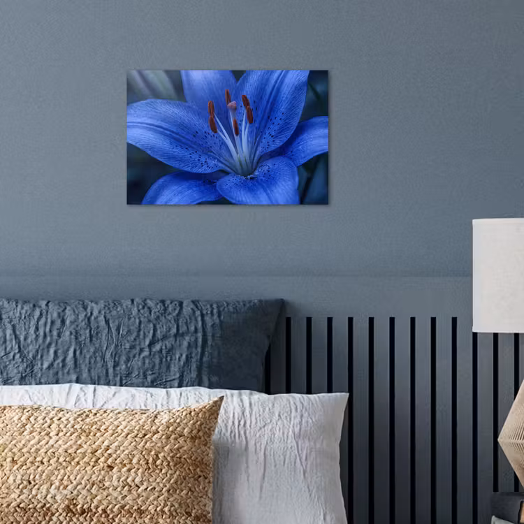 Poster - Blaue Blume – Natur — 3