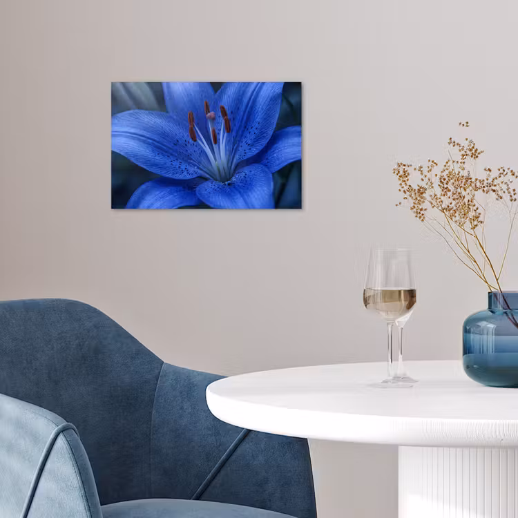Poster - Blaue Blume – Natur — 4