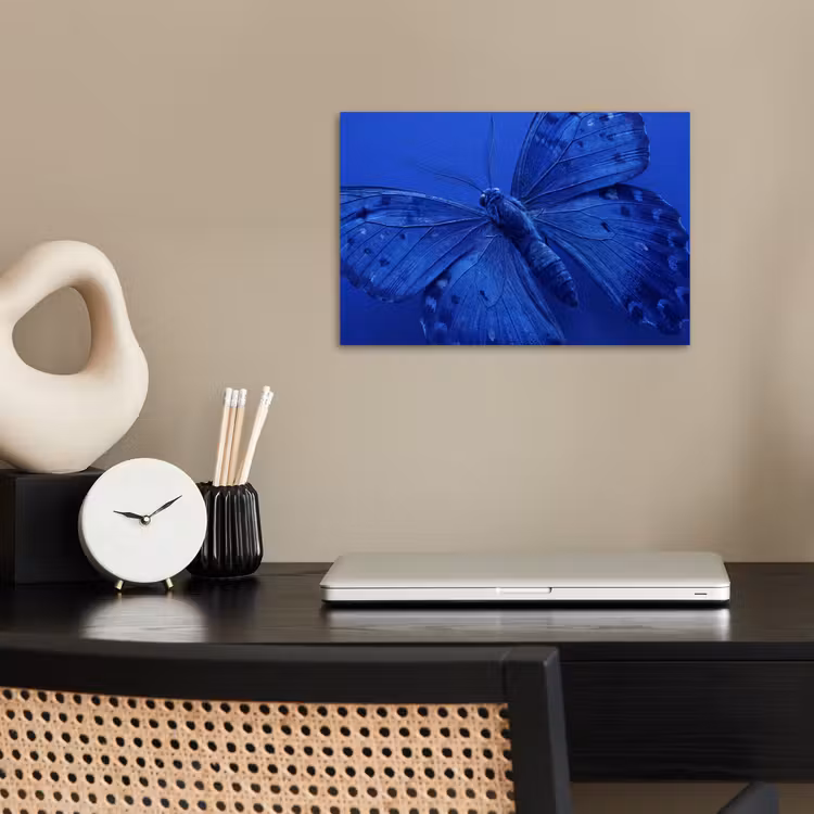 Poster - Blauer Schmetterling – Insekt — 2