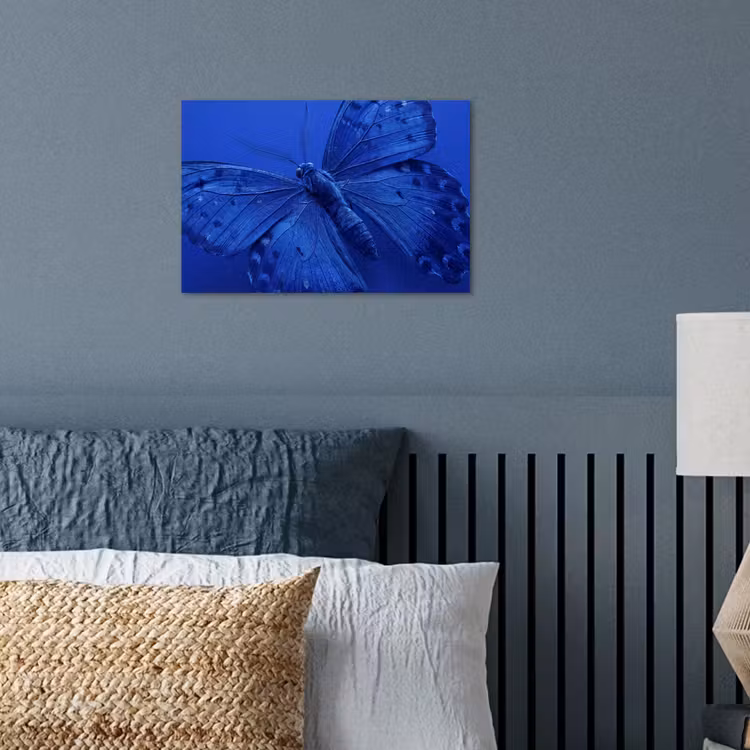 Poster - Blauer Schmetterling – Insekt — 3