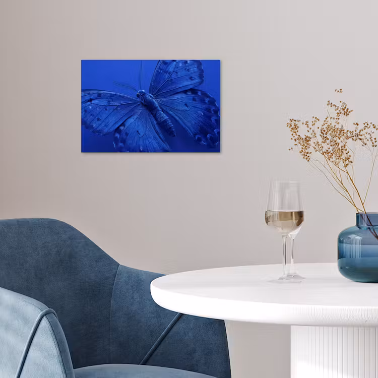 Poster - Blauer Schmetterling – Insekt — 4