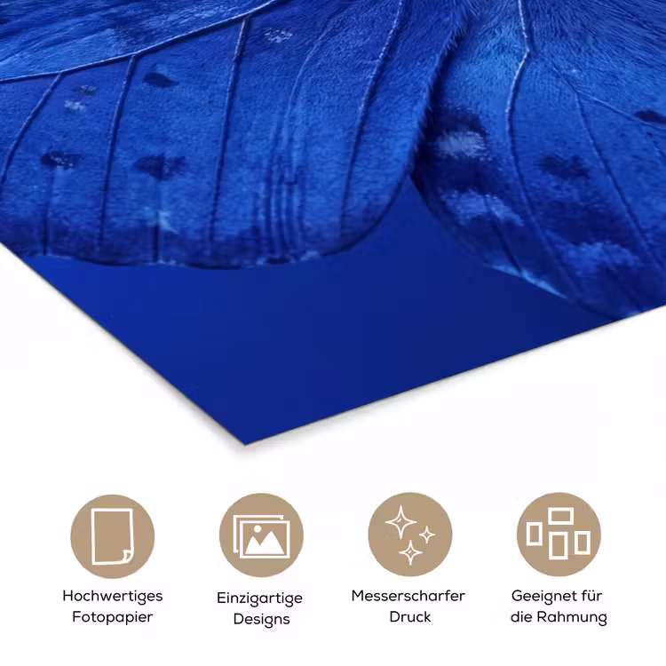 Poster - Blauer Schmetterling – Insekt — 5