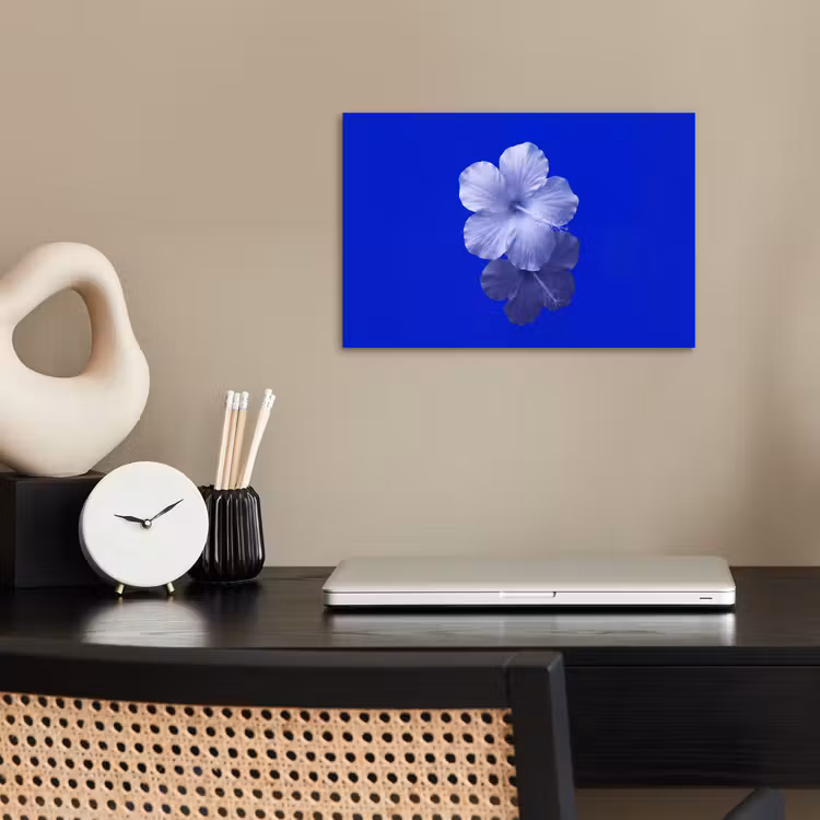 Poster - Blumen – Blau – Natur — 2
