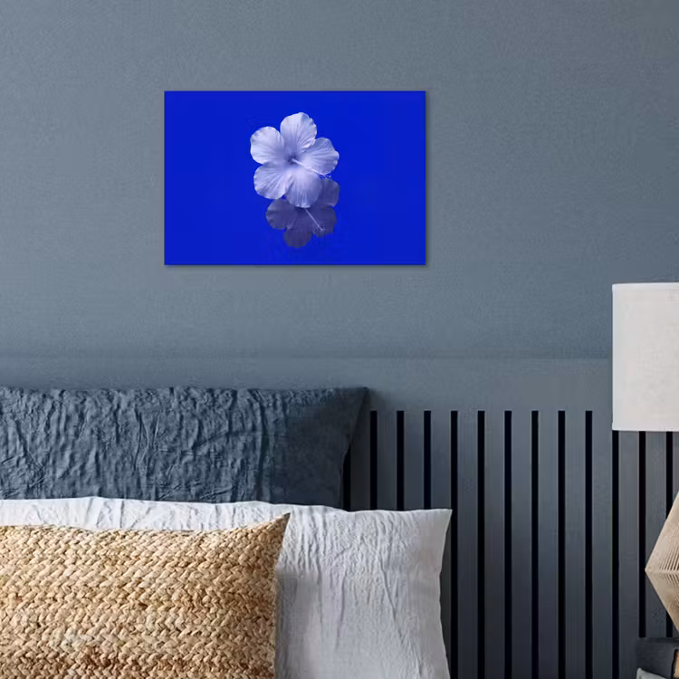 Poster - Blumen – Blau – Natur — 3