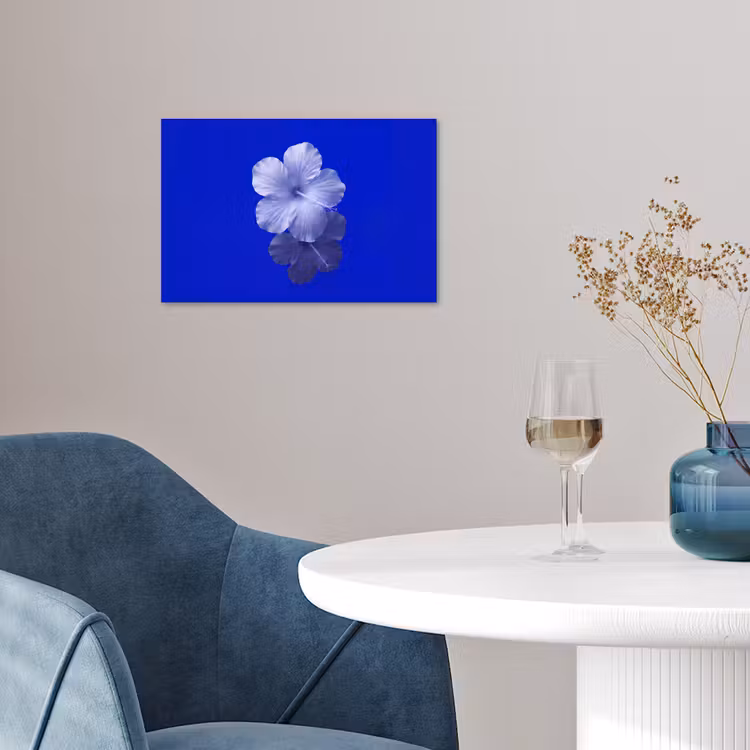 Poster - Blumen – Blau – Natur — 4