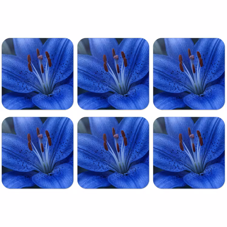 Untersetzer - Blaue Blume – Natur — 1