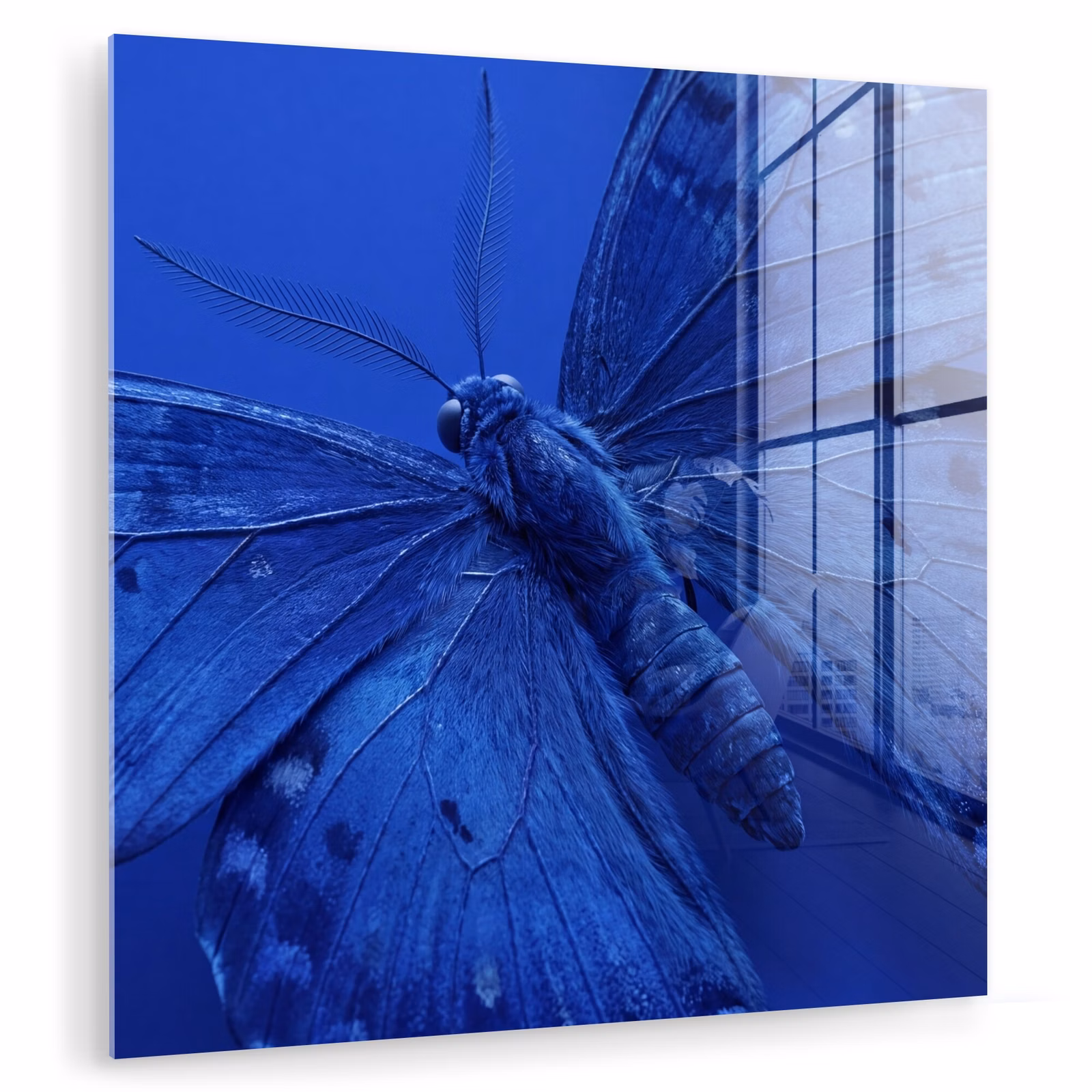 Glasbild - Blauer Schmetterling – Insekt — 1
