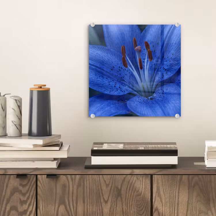 Glasbild - Blaue Blume – Natur — 2