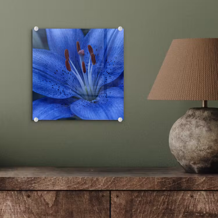 Glasbild - Blaue Blume – Natur — 4