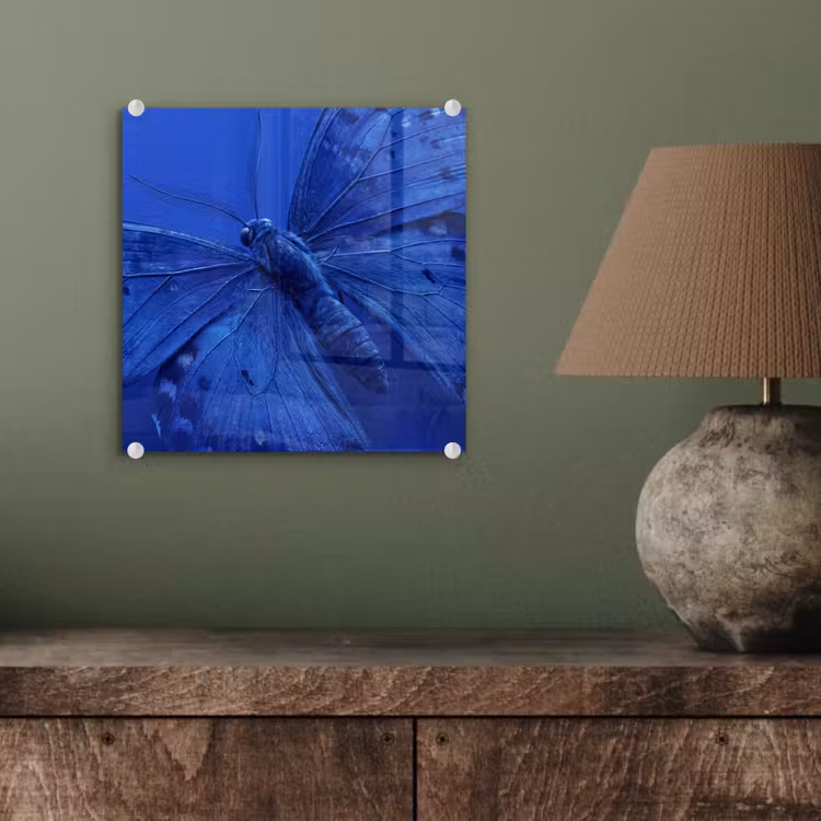 Glasbild - Blauer Schmetterling – Insekt — 4