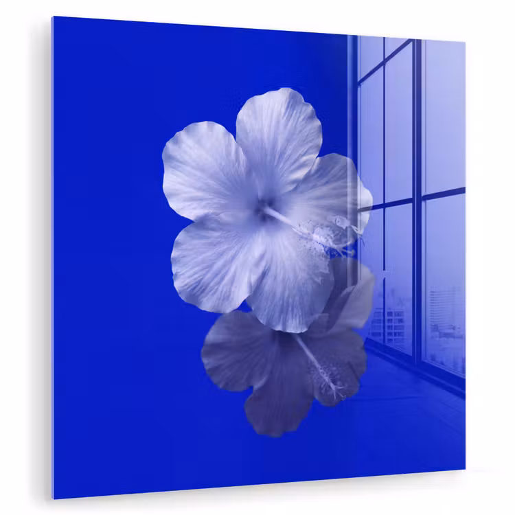 Glasbild - Blumen – Blau – Natur — 1