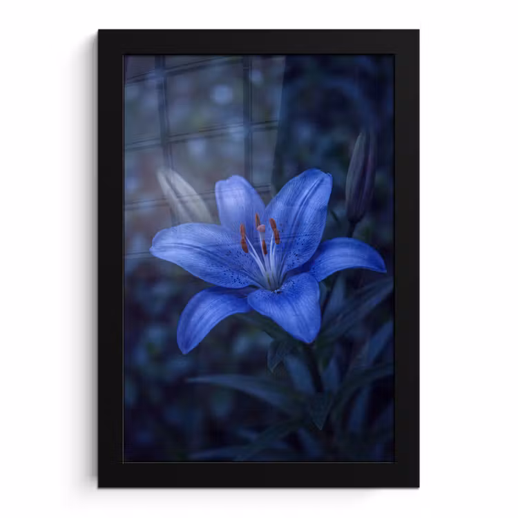 Bilder mit Rahmen - Blaue Blume – Natur — 1