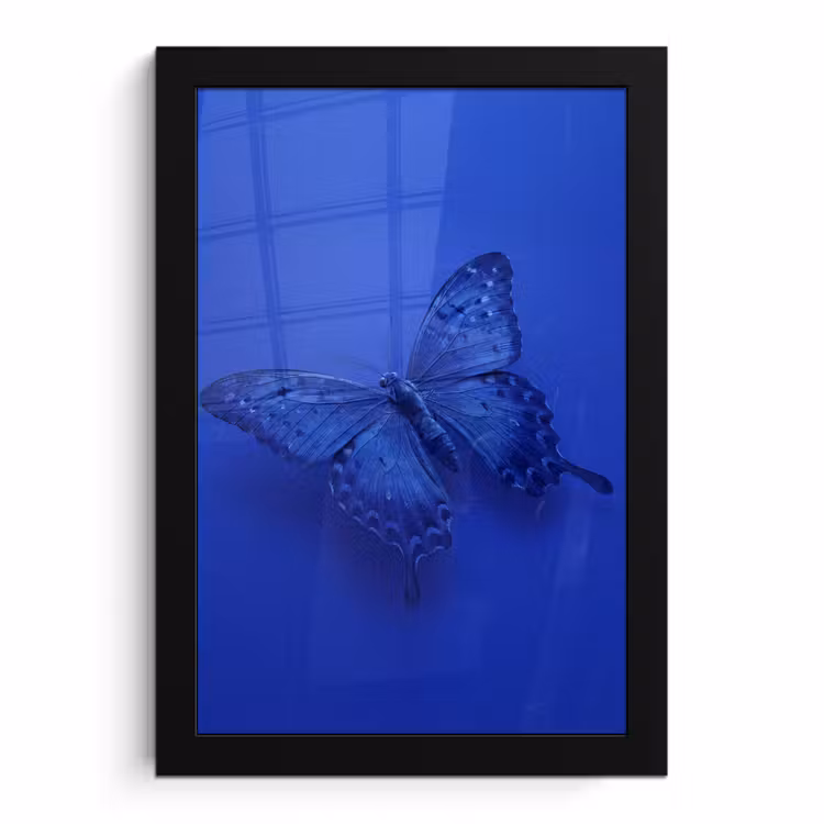 Bilder mit Rahmen - Blauer Schmetterling – Insekt — 1