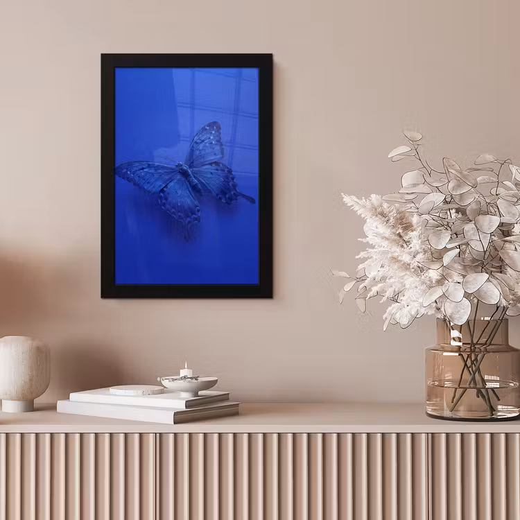 Bilder mit Rahmen - Blauer Schmetterling – Insekt — 4