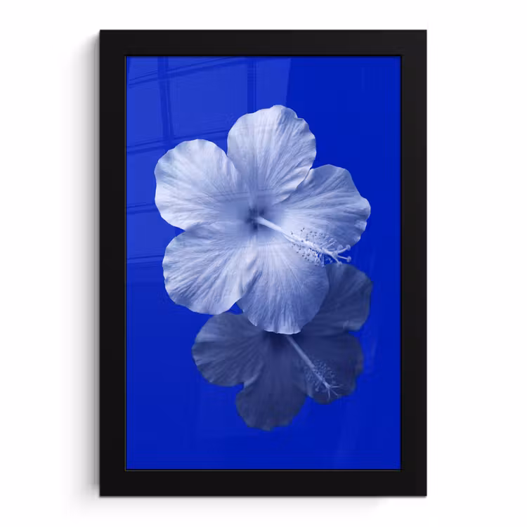 Bilder mit Rahmen - Blumen – Blau – Natur — 1