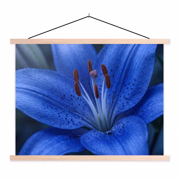 Stoffbild - Blaue Blume – Natur — 1