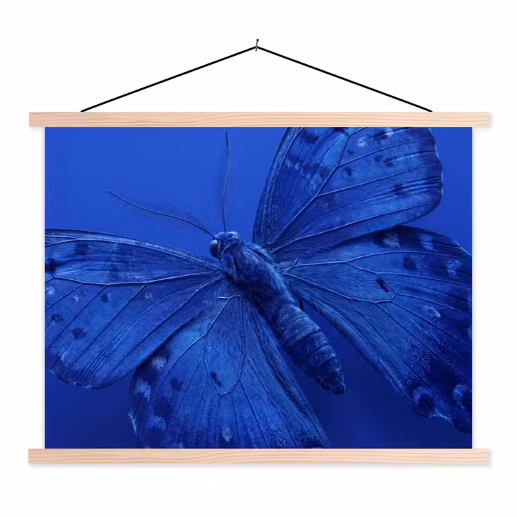 Stoffbild - Blauer Schmetterling – Insekt — 1