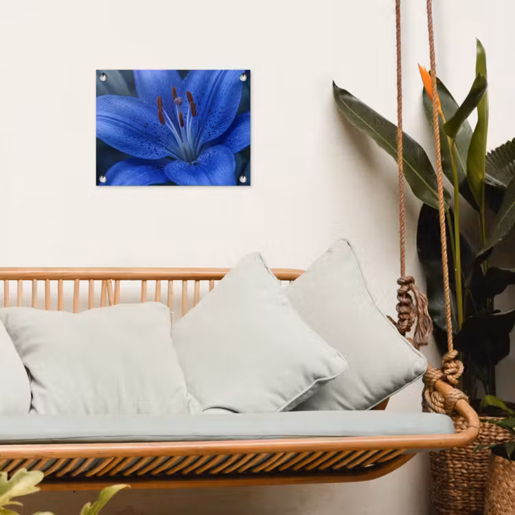 Gartenposter - Blaue Blume – Natur — 4