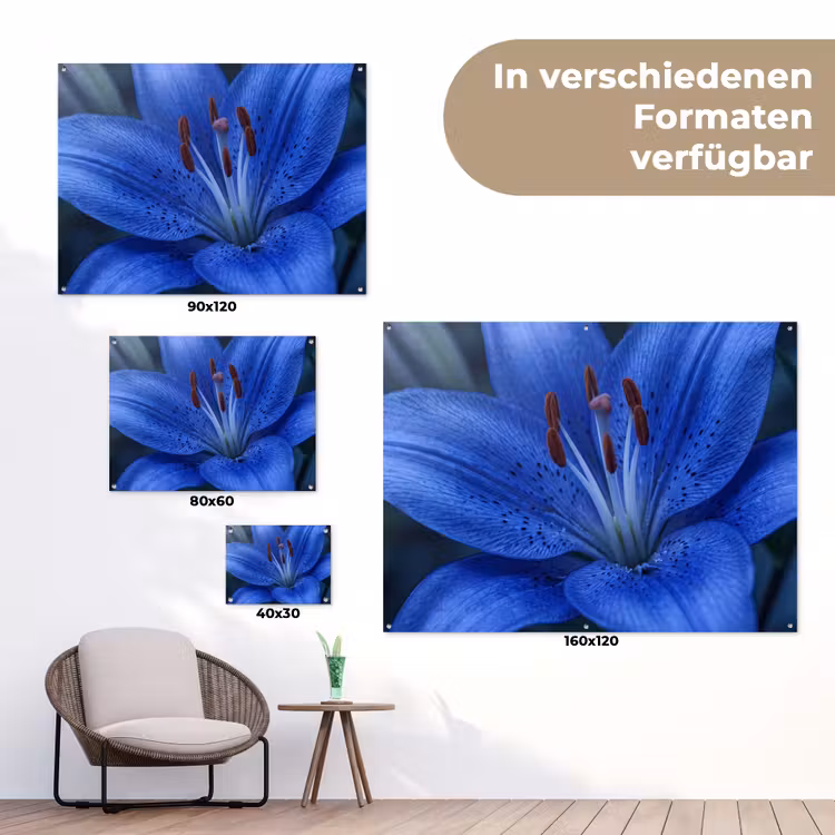 Gartenposter - Blaue Blume – Natur — 6