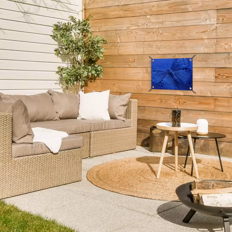 Gartenposter - Blauer Schmetterling – Insekt — 3