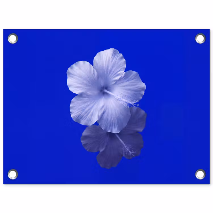 Gartenposter - Blumen – Blau – Natur — 1