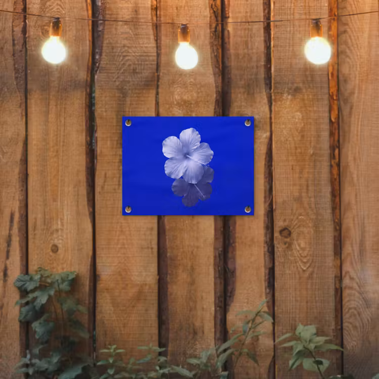 Gartenposter - Blumen – Blau – Natur — 2