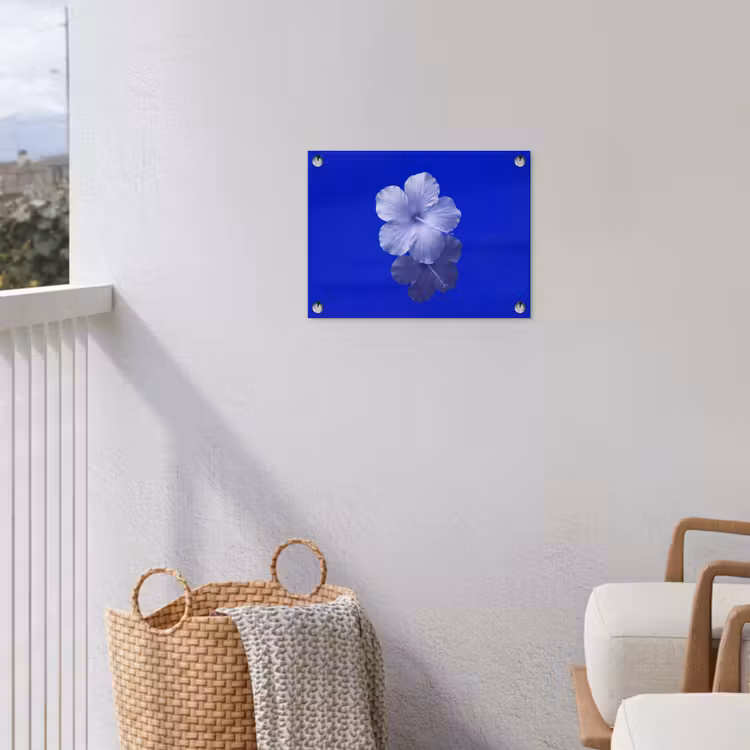 Gartenposter - Blumen – Blau – Natur — 5