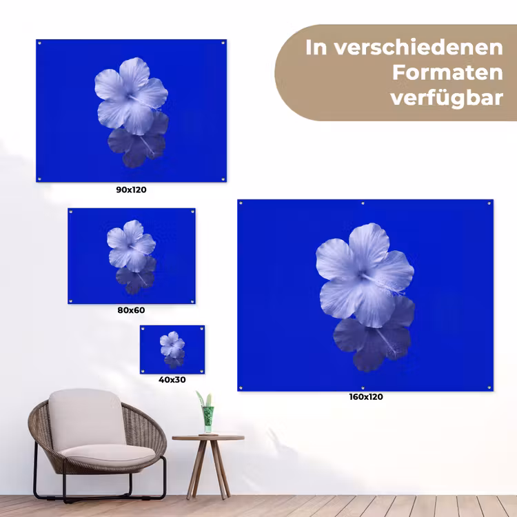 Gartenposter - Blumen – Blau – Natur — 6