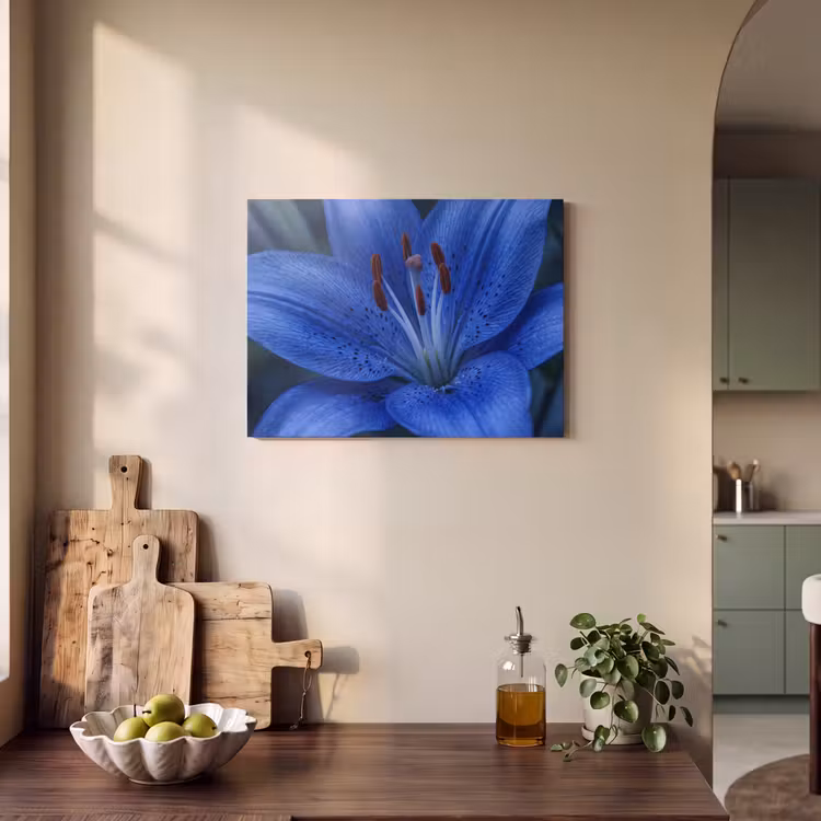 Akustikbild - Blaue Blume – Natur — 4