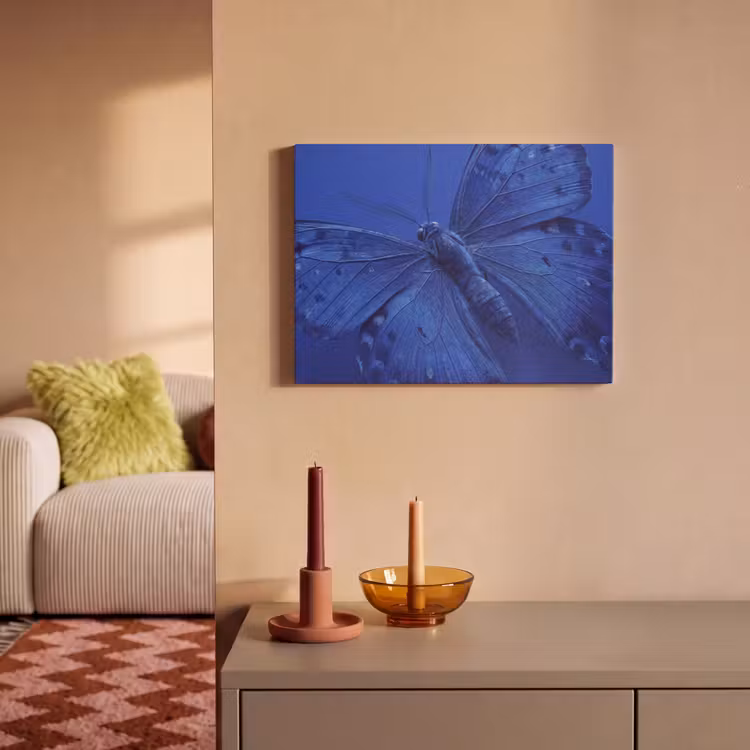 Akustikbild - Blauer Schmetterling – Insekt — 2