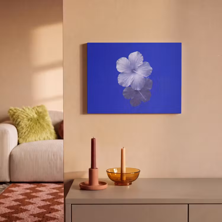 Akustikbild - Blumen – Blau – Natur — 2