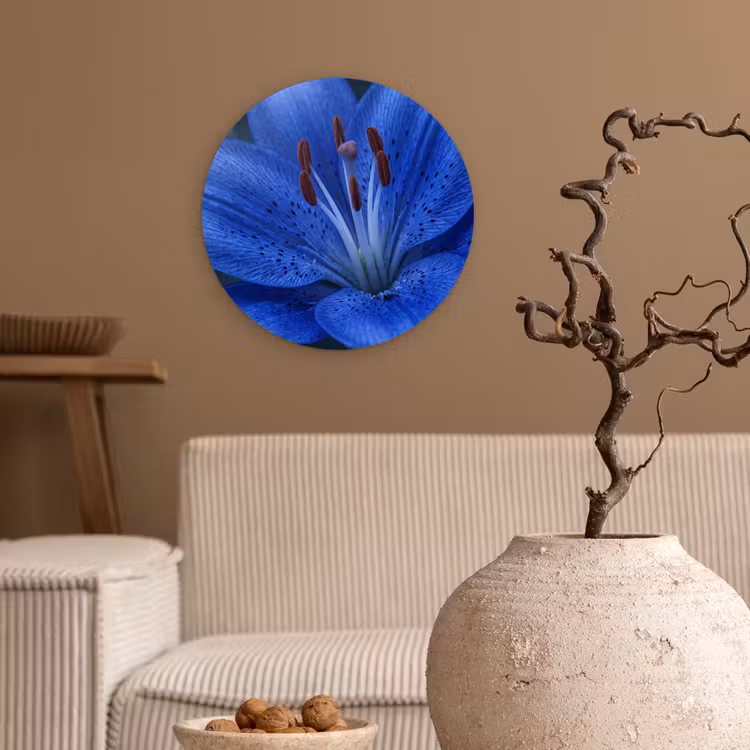 Glasbild Rund - Blaue Blume – Natur — 2