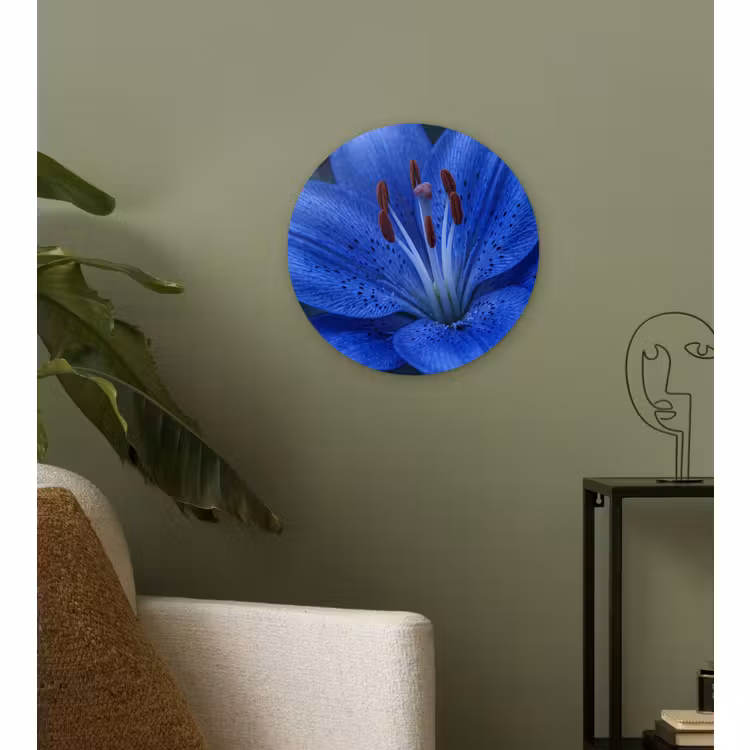 Glasbild Rund - Blaue Blume – Natur — 3
