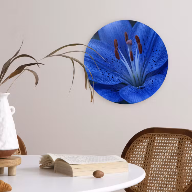Glasbild Rund - Blaue Blume – Natur — 4