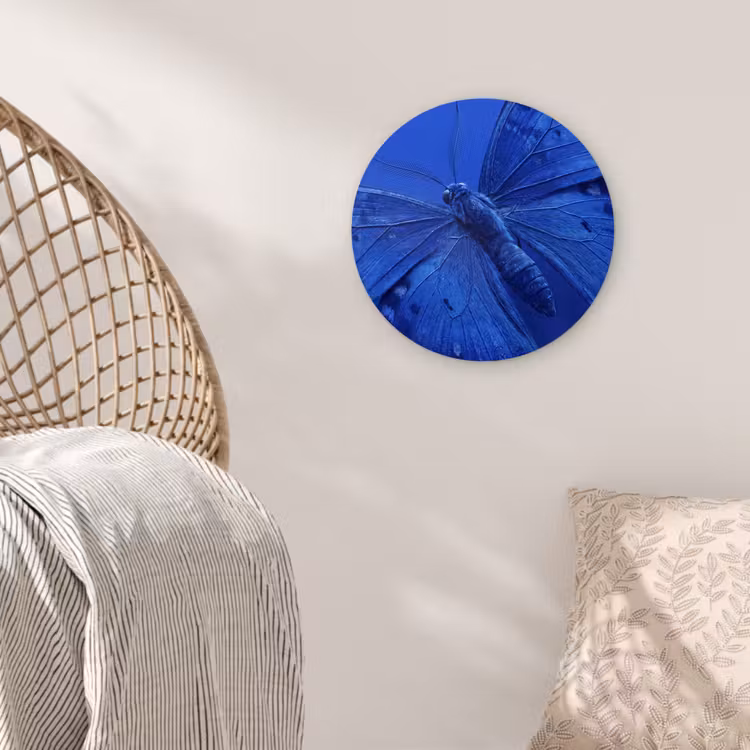 Glasbild Rund - Blauer Schmetterling – Insekt — 5