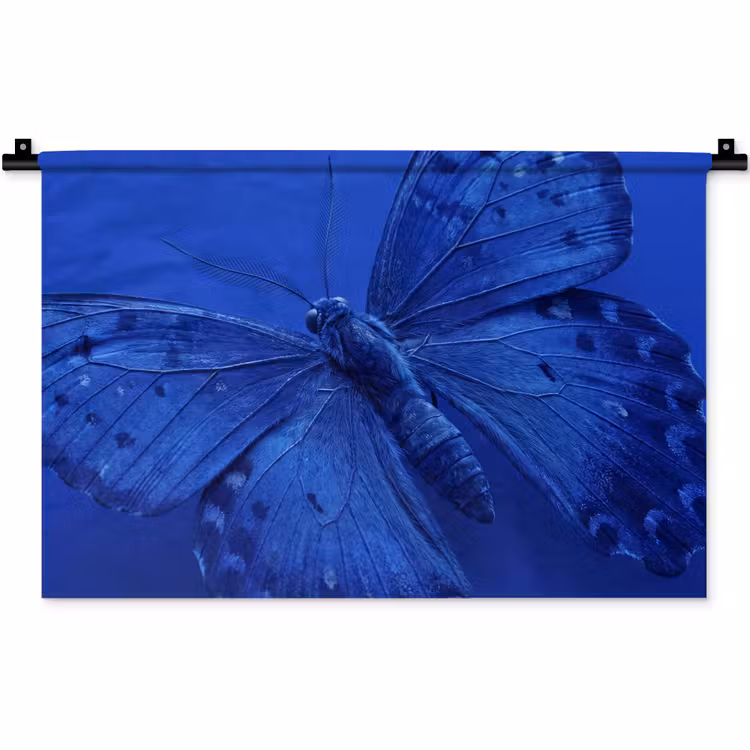 Wandteppich - Blauer Schmetterling – Insekt — 1