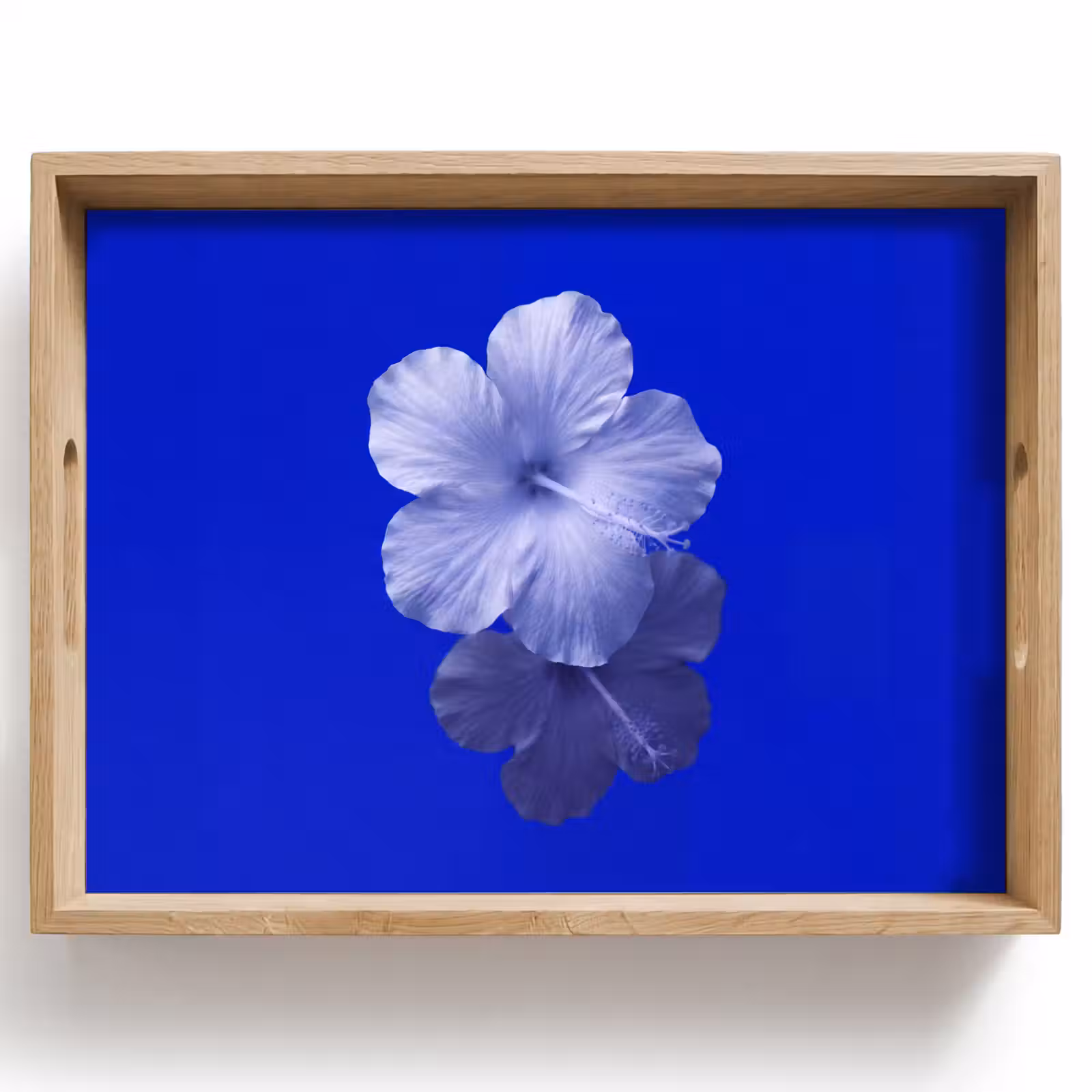 Tablett - Blumen – Blau – Natur — 1
